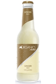 ORGANICS BOUT GINGER BEER 25CLVPX24